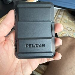 Pelican iPhone Case