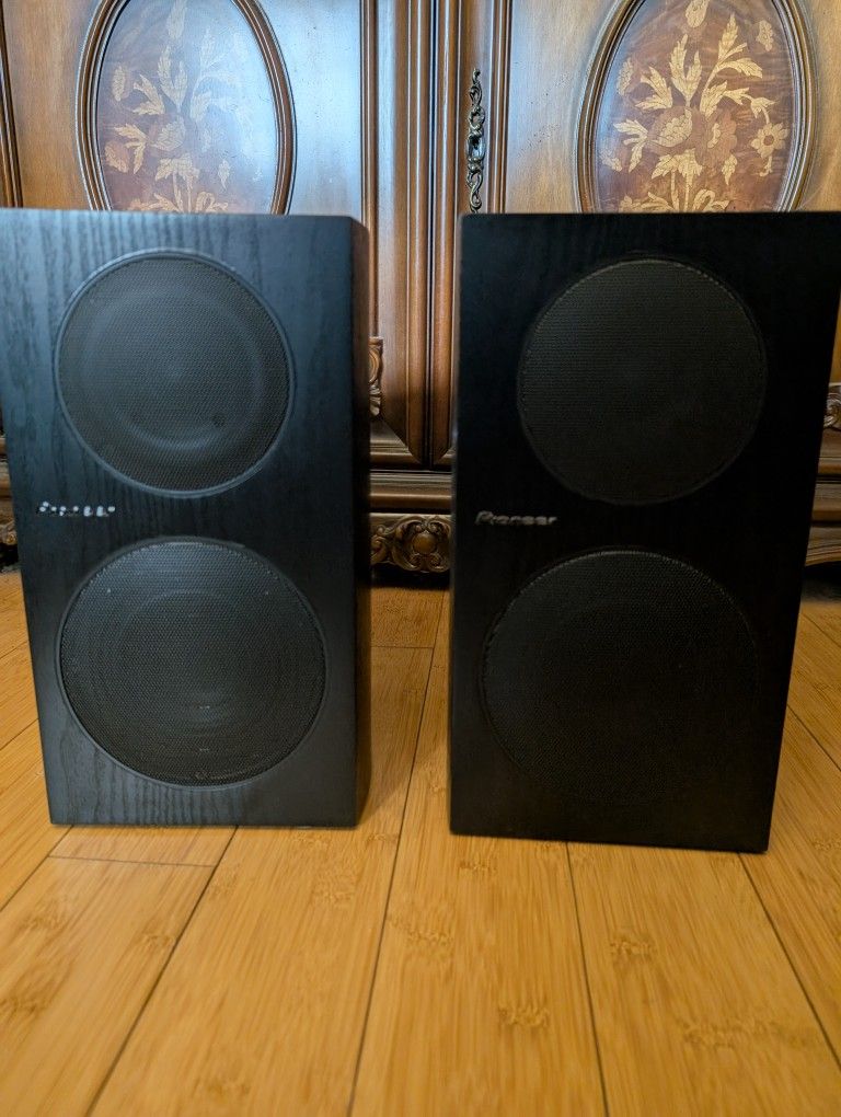 Pioneer Andrew Jones SP-BS21-LR Speakers