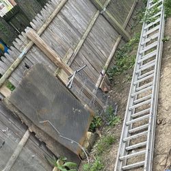 Ladder