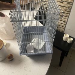 Bird Cage