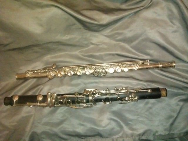 Flute And Clarinet (for parts or repair)