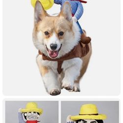 XL Dog Costume Cowboy Rider 