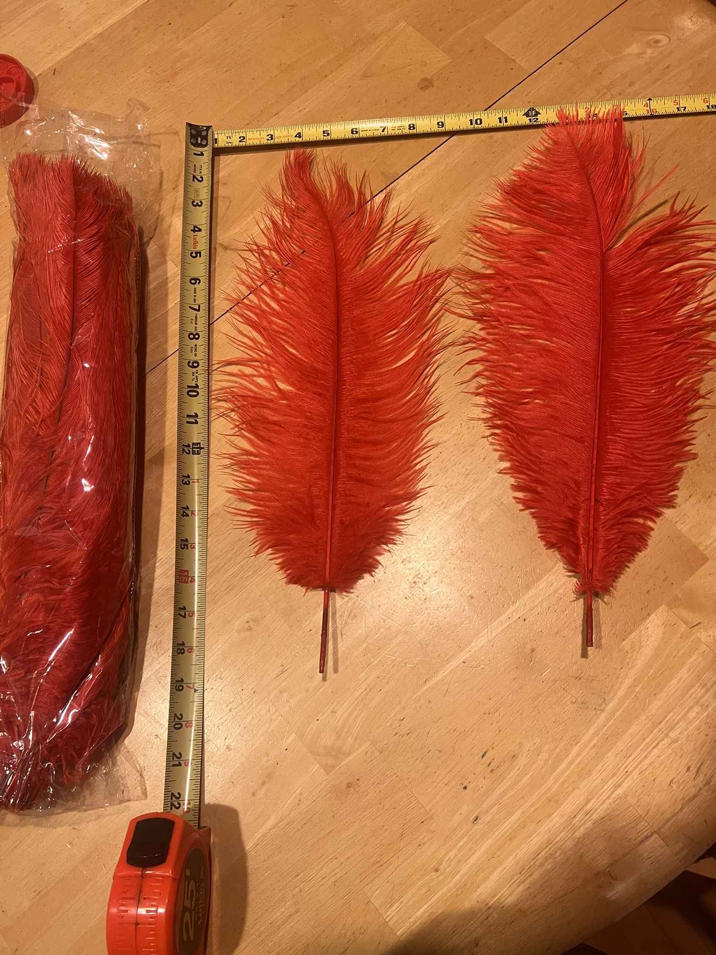 Feathers for Sale in Las Vegas, NV OfferUp