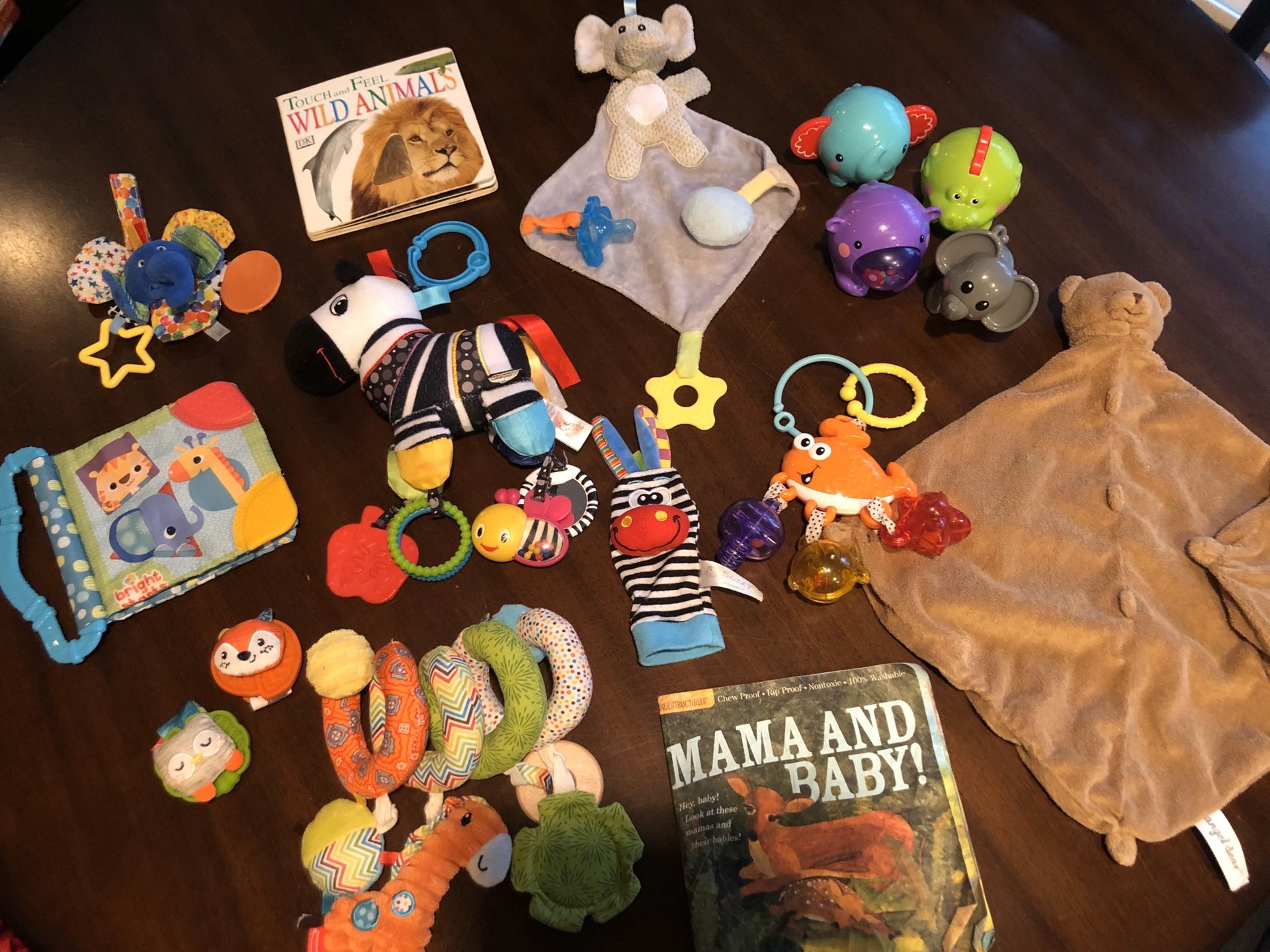 Infant Animal Themed Toy and Book Lot