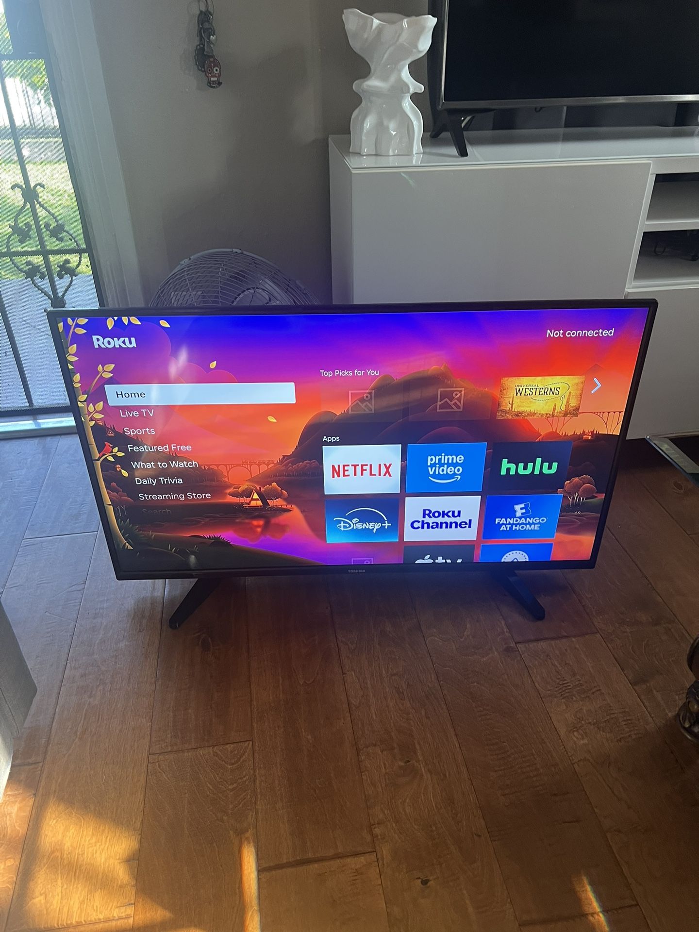Toshiba Tv 42” (need Remote For Roku Stick)