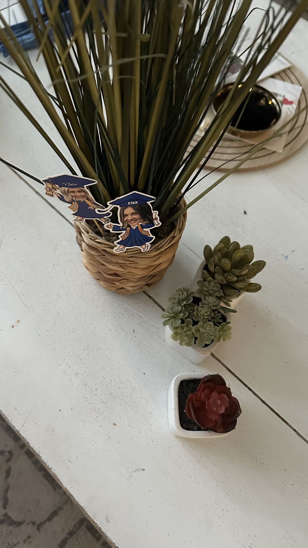 Fake Decoration Plants