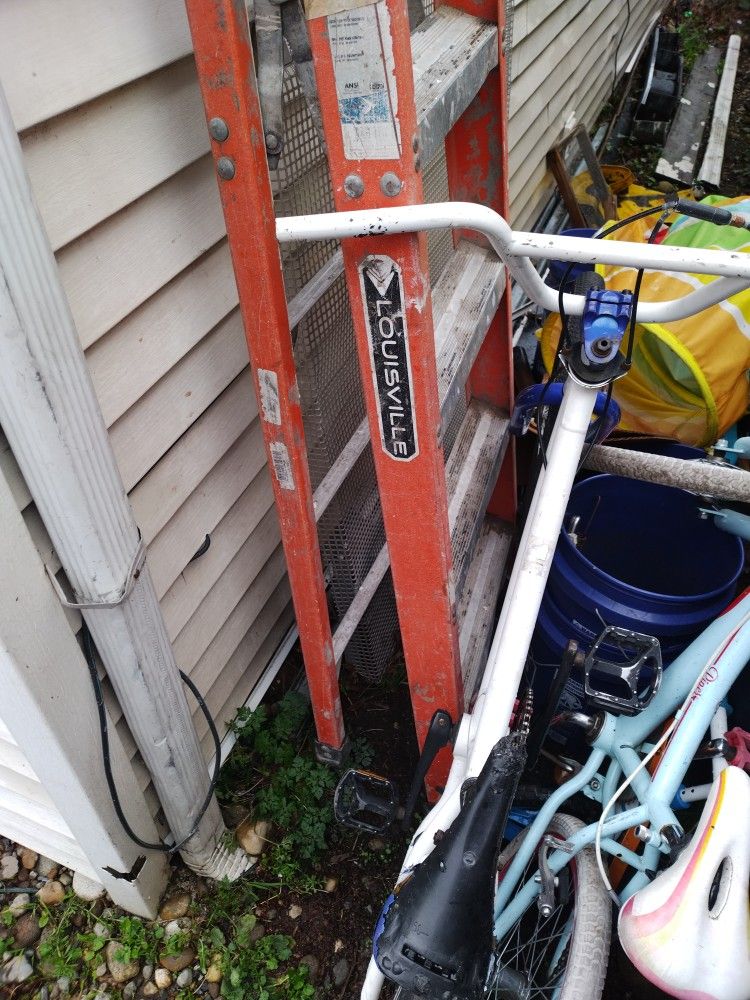 Louis Lewisville Ladder 6 Foot