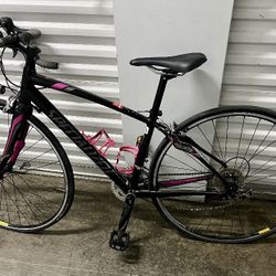 Specialized Endurance Bike 