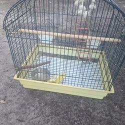 Bird Cage