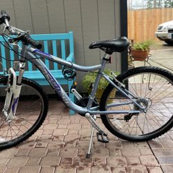 Schwinn bicycle