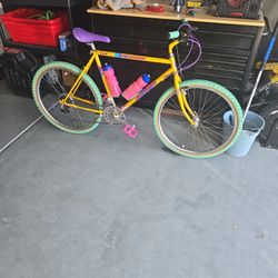 1980s Specialized Rock Hopper Comp