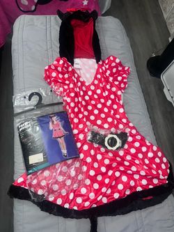 Ladies Minnie Mouse Costume #1