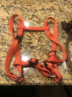 Dog harness