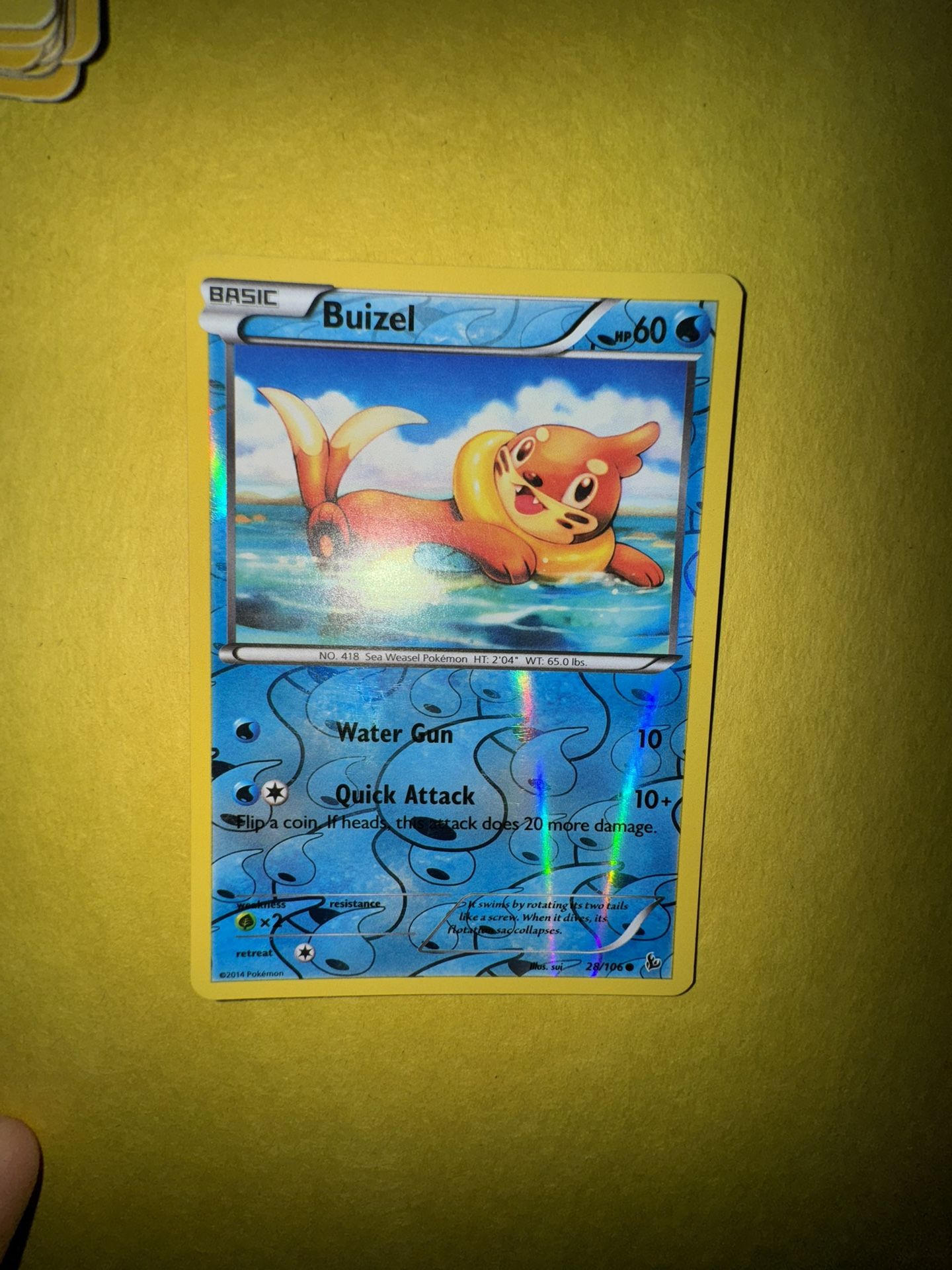 Buizel [Reverse Holo] #28 Pokemon Flashfire