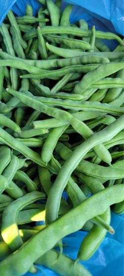 Green beans