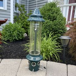 Squirrel Buster Plus Bird Feeder