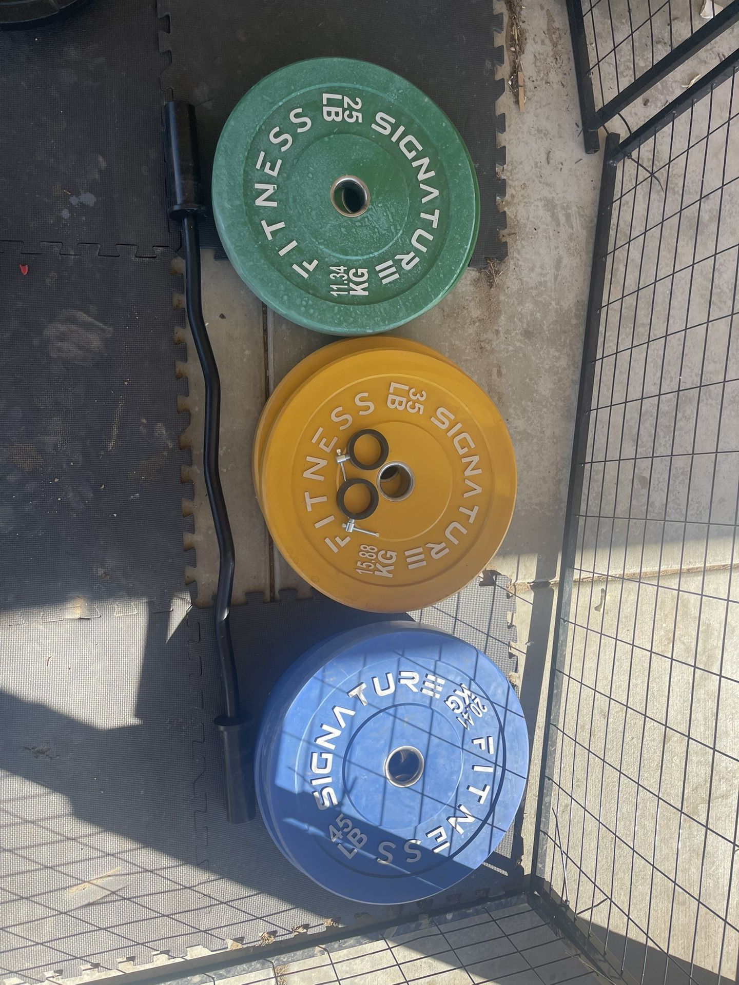 Weight Plates And Curl Bar