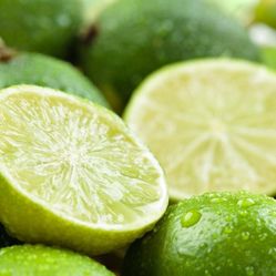 Grafted Dwarf Bear Lime Seedless 😃😃😃🌿🌿🌿