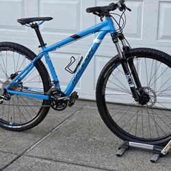 29er Raleigh Mountain Bike 