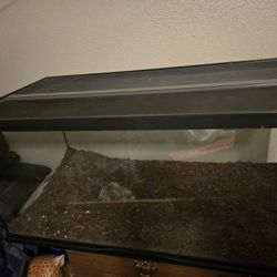 40 Gallon Aquatic/Terranium Tank