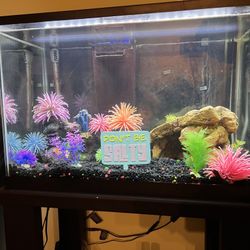 20 Gallon Fish tank/ Aquarium With Full Set-up AND stand