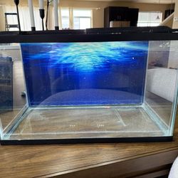 Aquarium 10 Gallon And 40 Gallon.