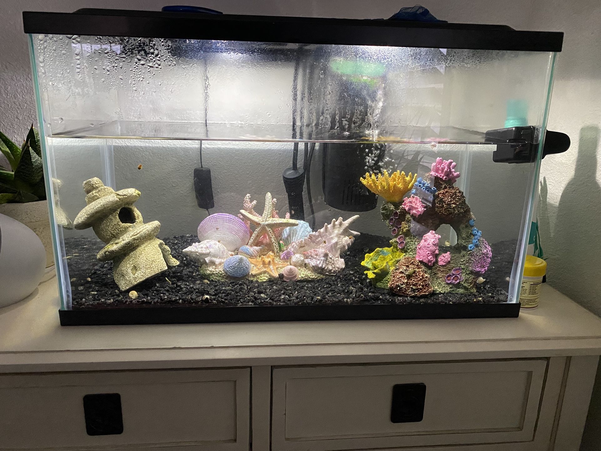 Fish Tank