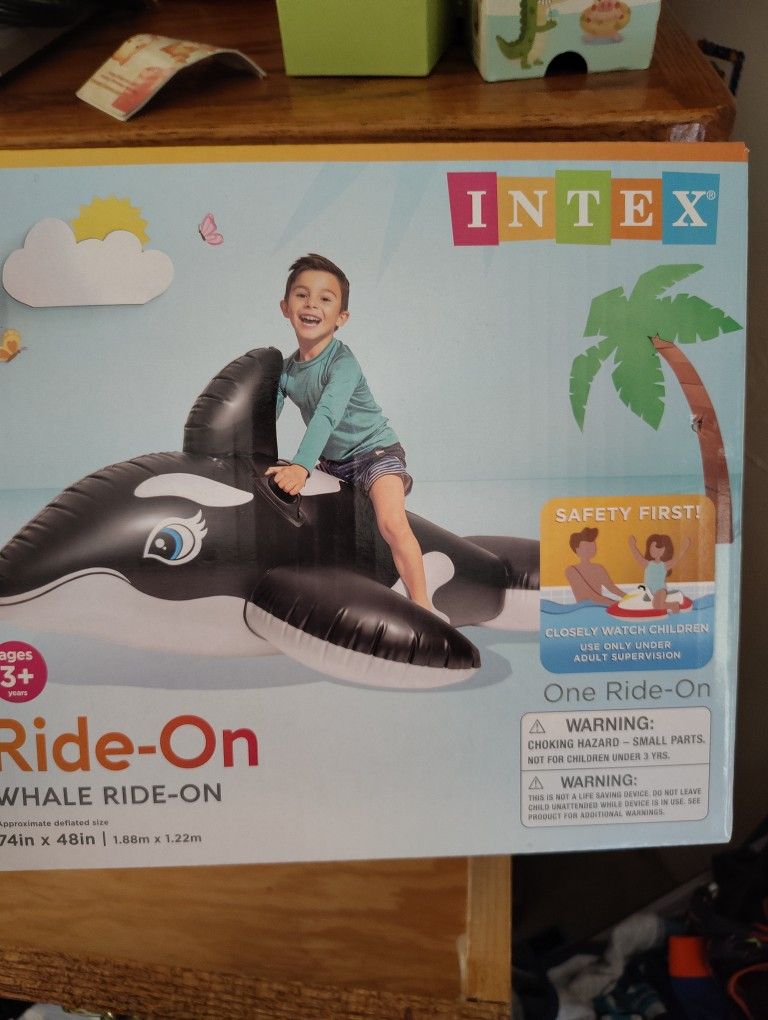 Pool Toy