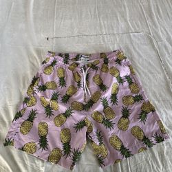 Men’s Swim Shorts Size L