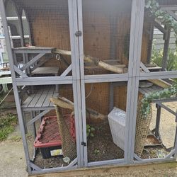 Converted Catio To Iguana Cage