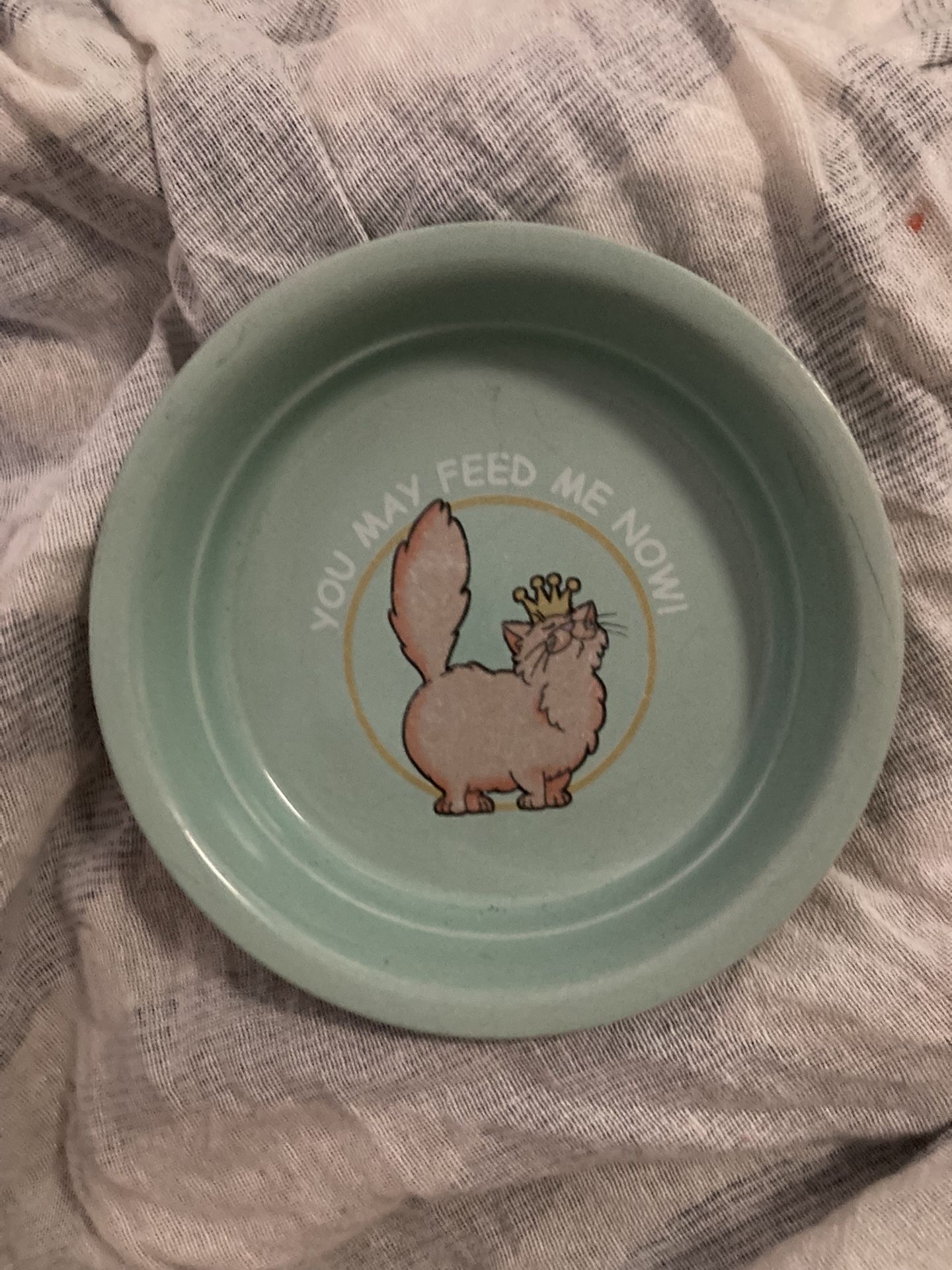 Charming Ceramic Kitty Dish