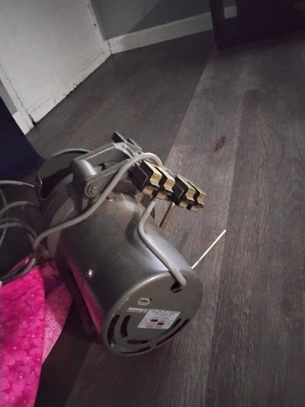 Motor