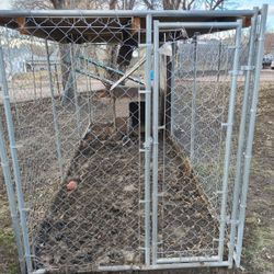 6 Section Chain Link Dog Kennel