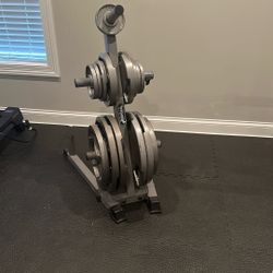 VTX Power System Olympic Weight Set