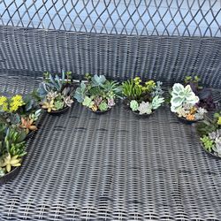 Little arrangements $2.50