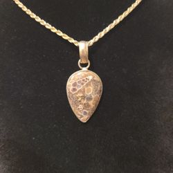 Natural Turritella Agate Pendant 925 Sterling Silver Goldplated Gemstone Pendant 24" Rope Chain Necklace F9