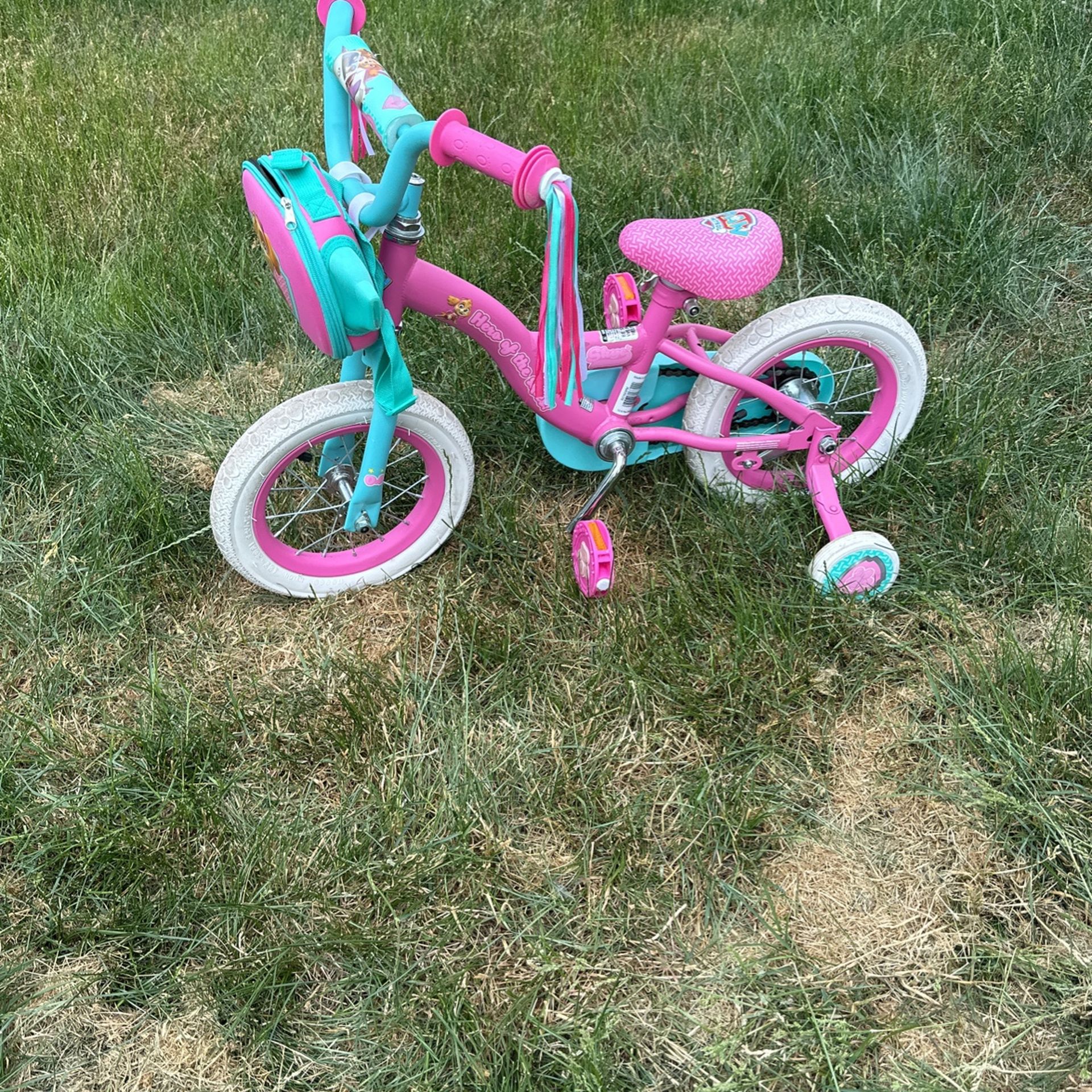 Girls Bike Skye Toddler Bike Bicycle Paw Patrol Skye Tricycle