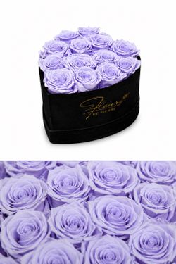 Dozen Luxury Roses in Velvet Heart Box - delivered to you