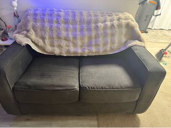 Love seat sofa bed