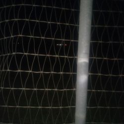 V mesh no climb horse fencing