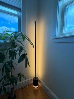 Govee Floor Lamp 2
