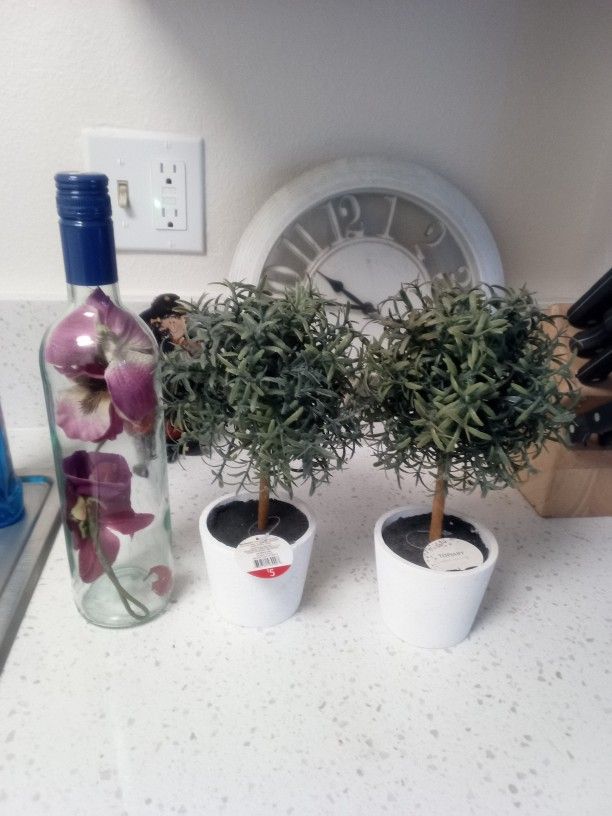 Mini Topiary 