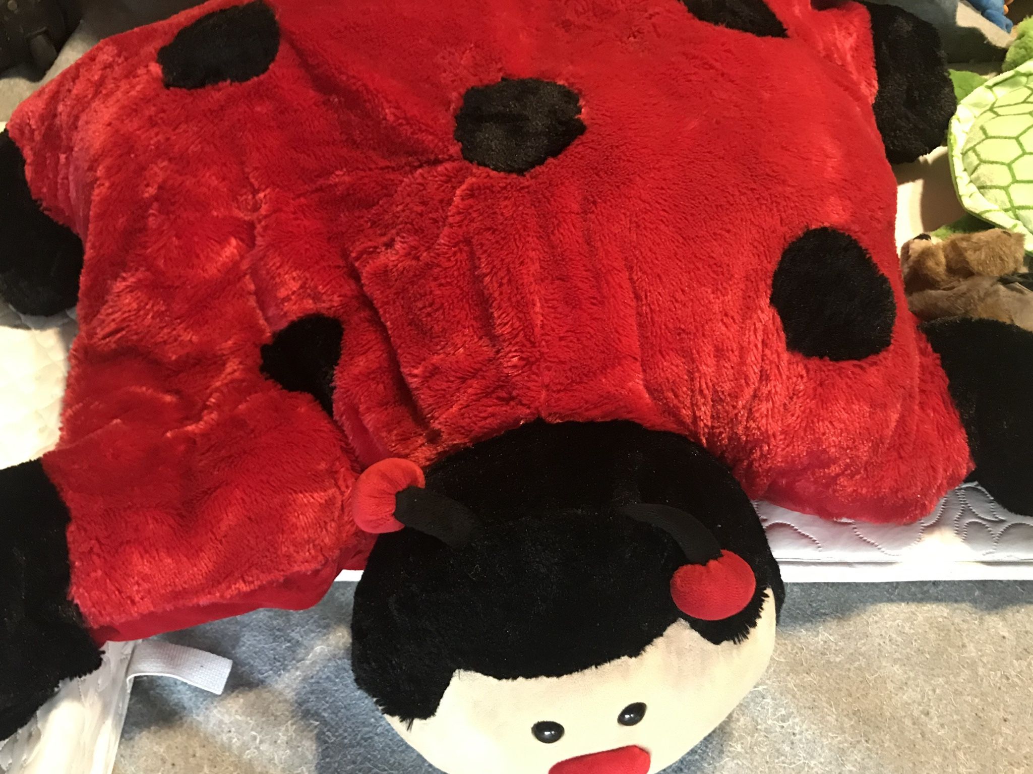 Stuffed Animals - Large Clean No Smoking Home