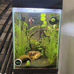 10 Gallon tall Aquarium 