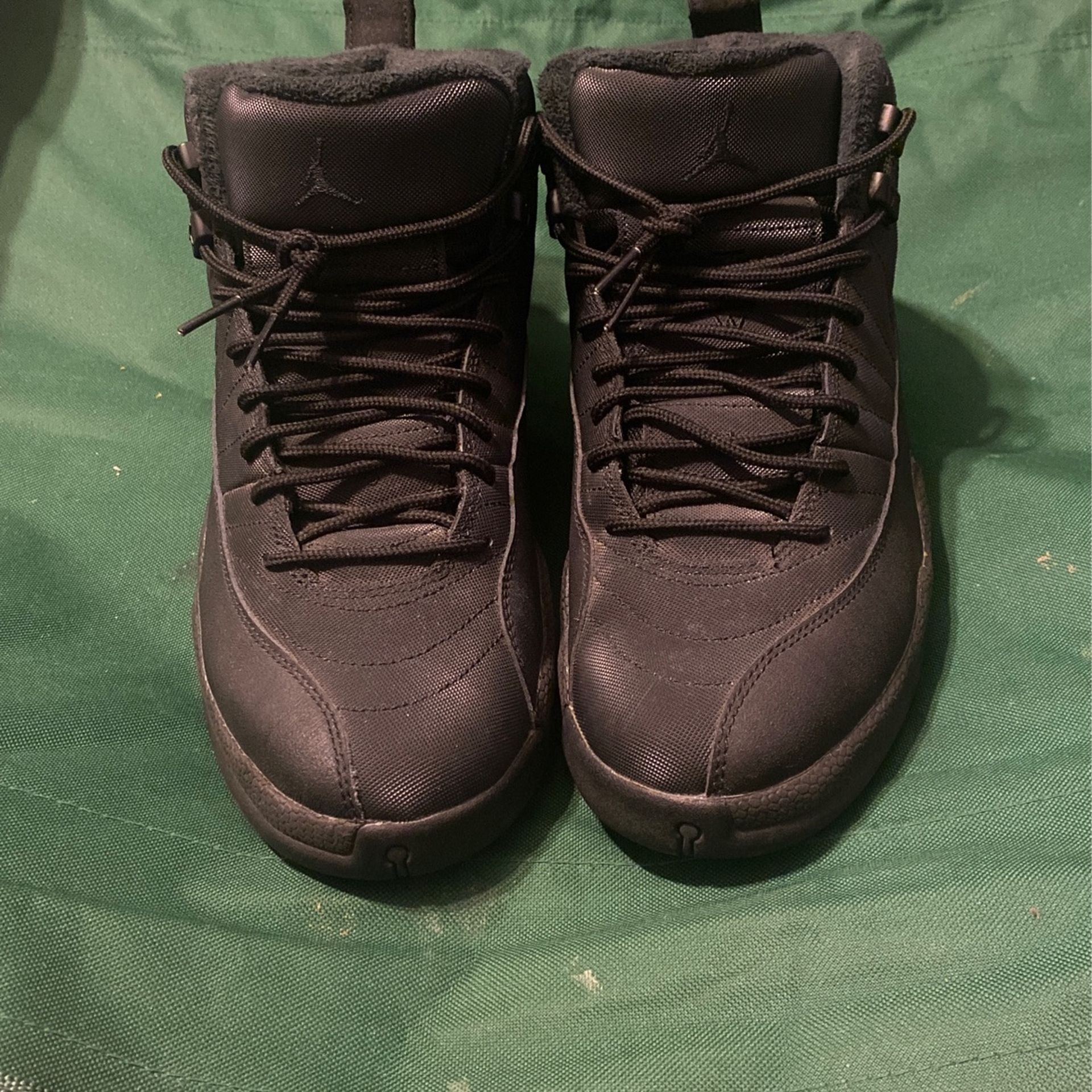Jordan Winter 12s