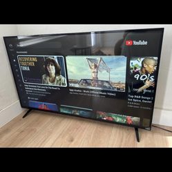  Vizio 55 Inch Smart Tv