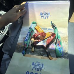 Baja Beach Fest GA+