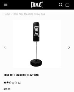 Free standing punching bag