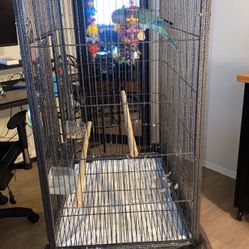 Amazing Bird Cage 
