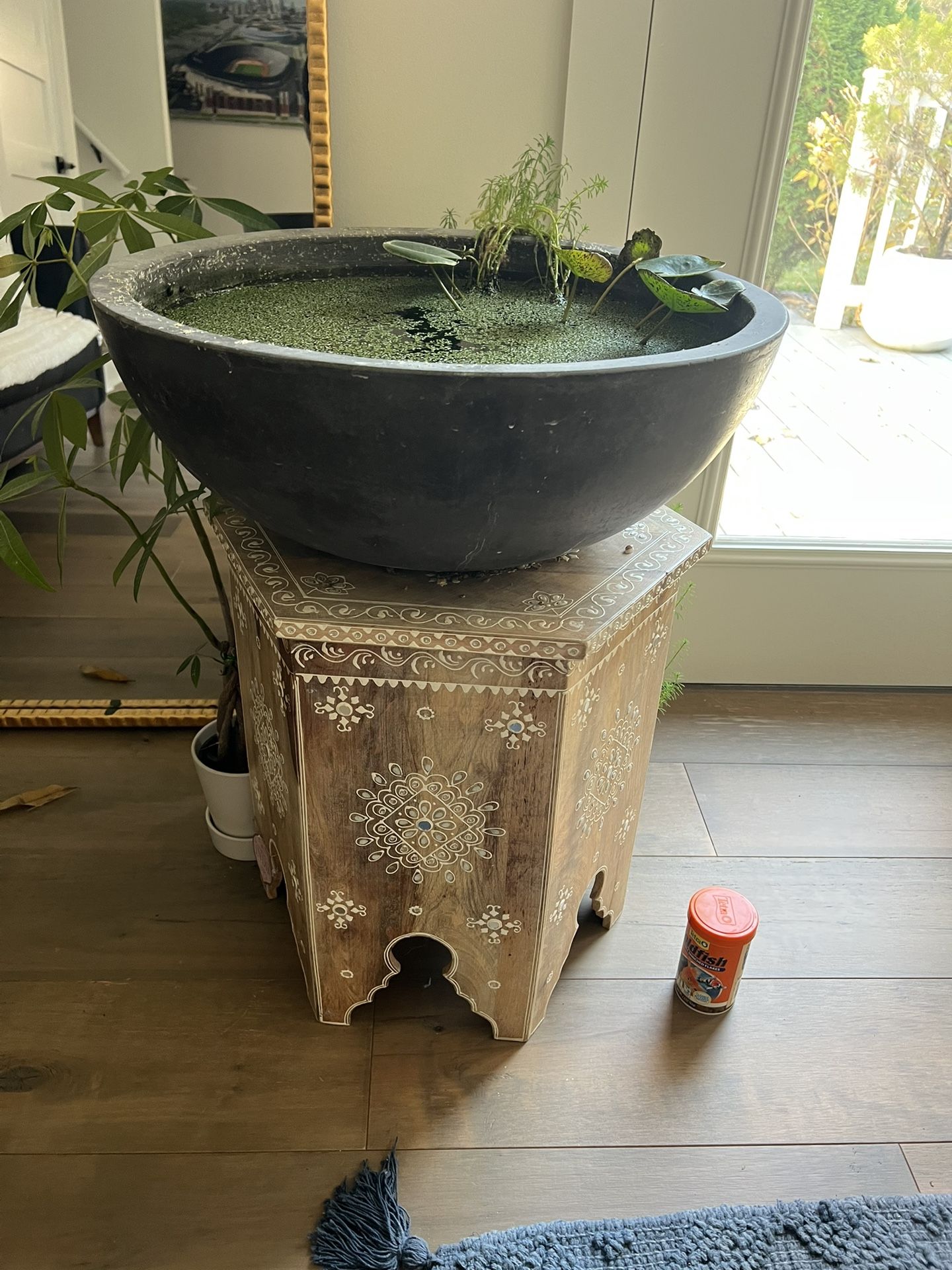 Indoor water pond (plants, pot, table and 1 fish included) $100